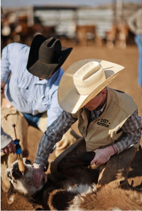 Western Hat Materials: Not All Are Created Equal - Jackson's Western